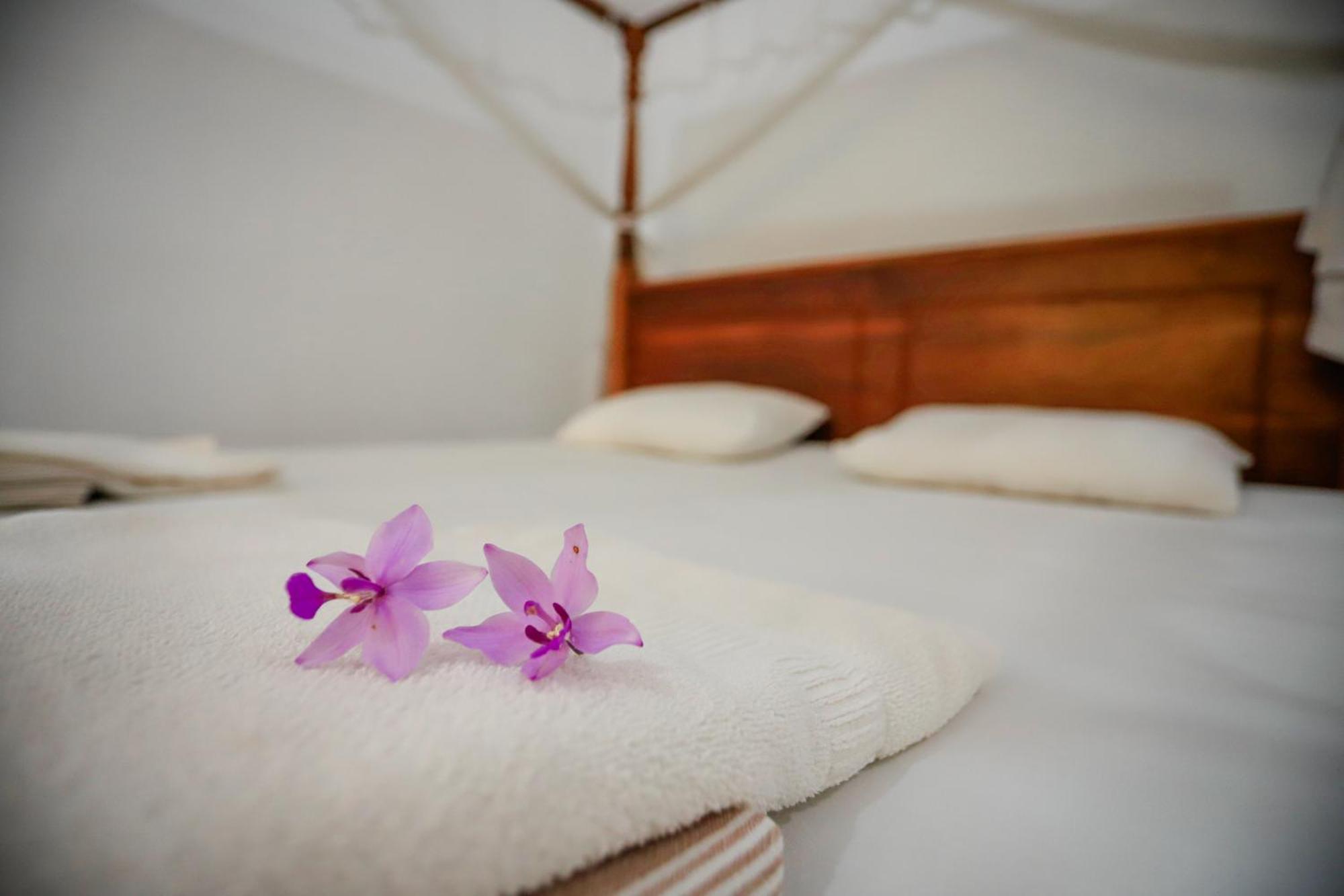 Serene Home Stay Udawalawe Εξωτερικό φωτογραφία